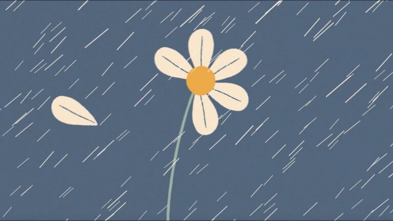 What to Expect at the End of Life